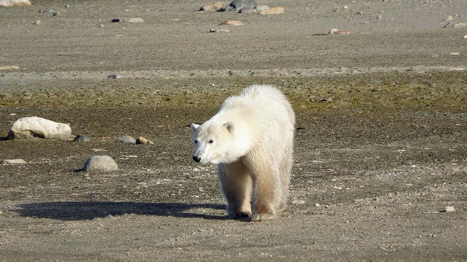 Churchill Manitoba Oct 2023 37